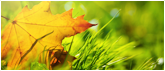 Warmly celebrate the opening of this website!